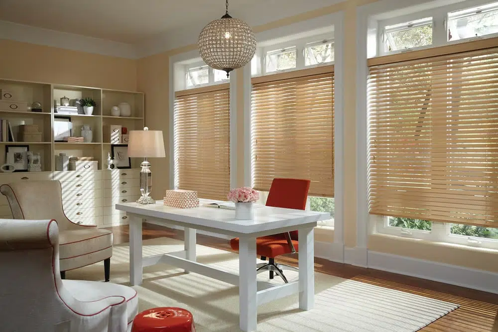 blackout blinds for windows - blindall