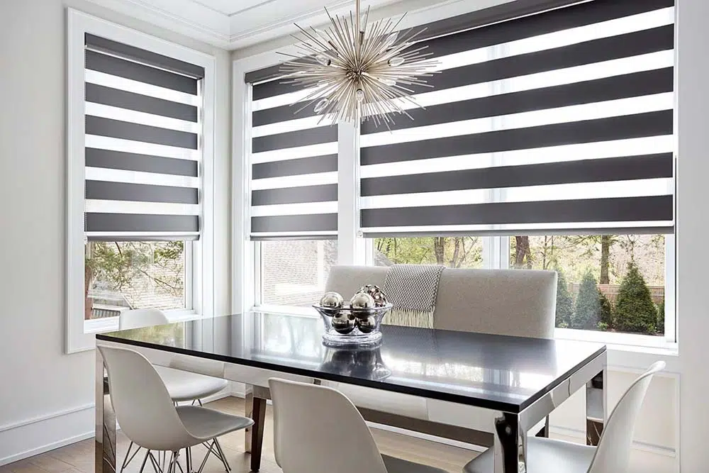 Zebra Blinds