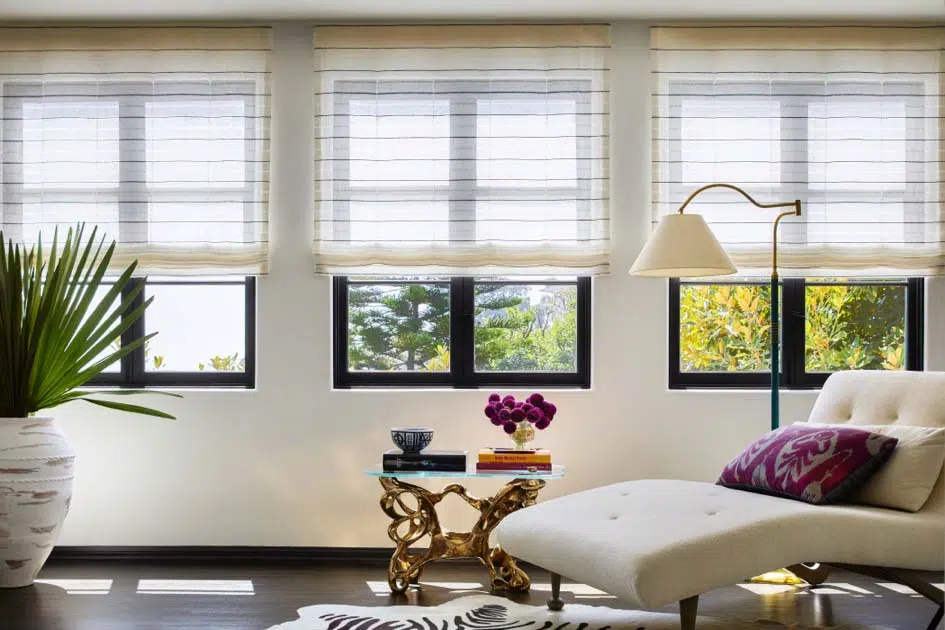 blinds and roman shades