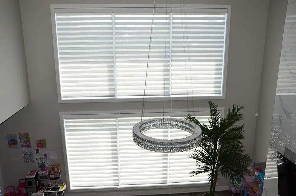 zebra shades blinds