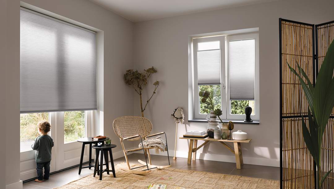 roller shades for french doors