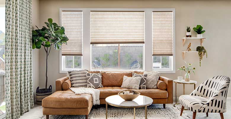 window and blinds