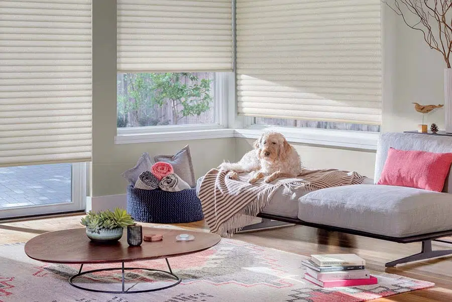 pet sunny shades window blinds