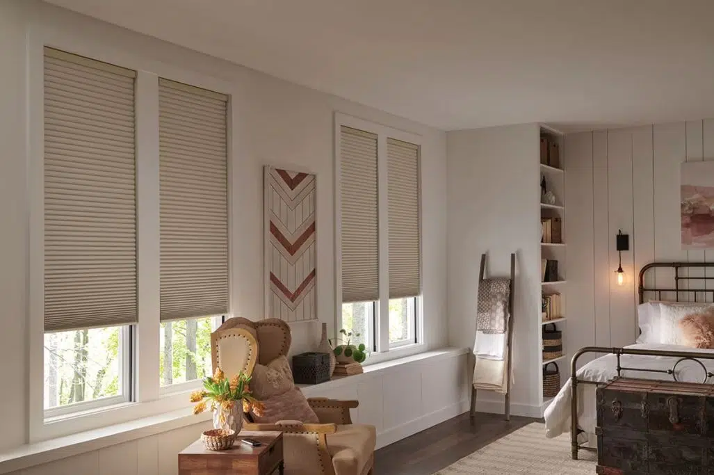 Blinds for Windows